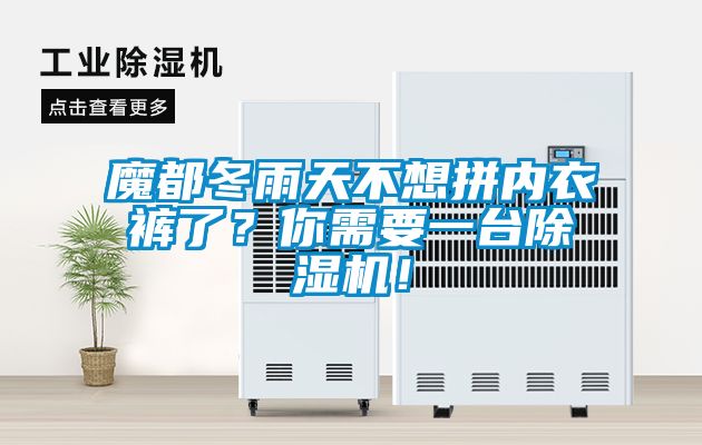 魔都冬雨天不想拼內衣褲了？你需要一臺除濕機！