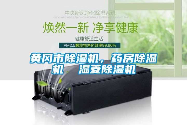 黃岡市除濕機，藥房除濕機  濕菱除濕機