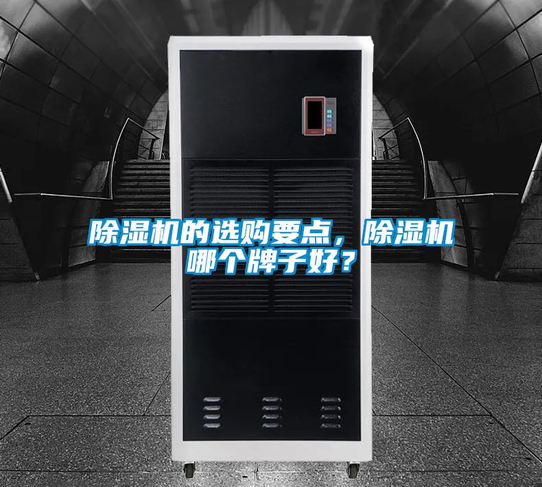 除濕機(jī)的選購(gòu)要點(diǎn)，除濕機(jī)哪個(gè)牌子好？