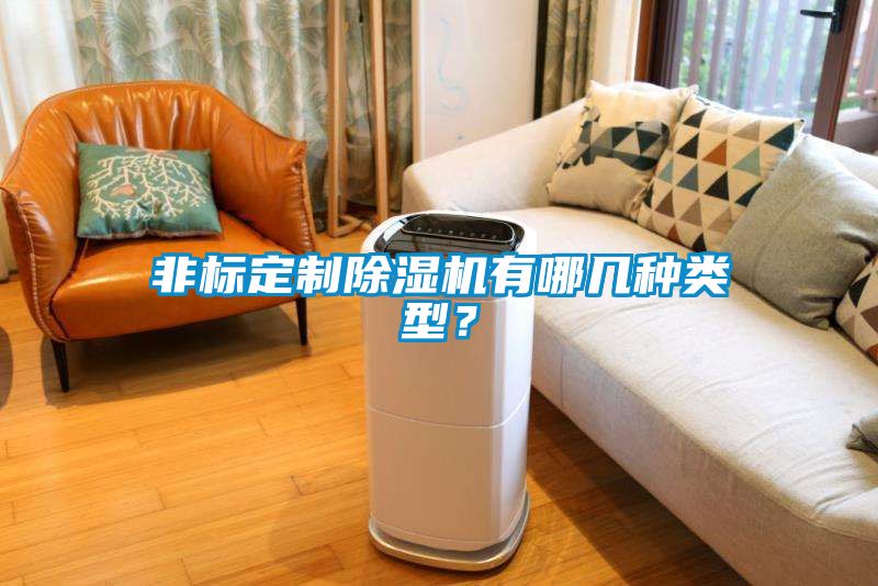 非標(biāo)定制除濕機有哪幾種類型？