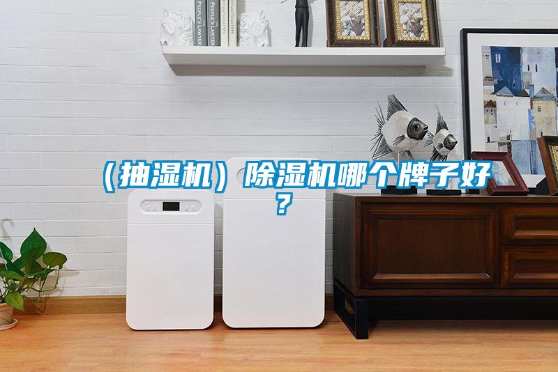 （抽濕機(jī)）除濕機(jī)哪個(gè)牌子好？