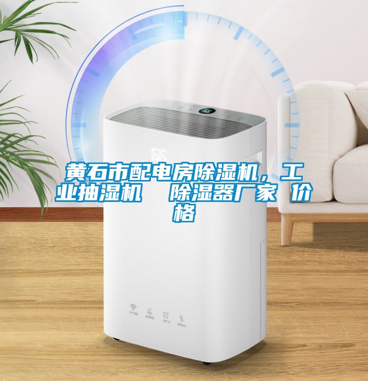 黃石市配電房除濕機(jī)，工業(yè)抽濕機(jī)  除濕器廠家 價(jià)格