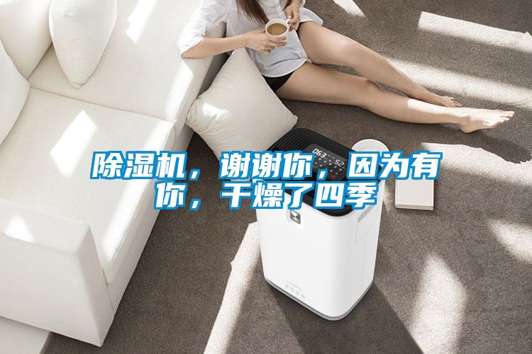 除濕機(jī)，謝謝你，因?yàn)橛心?，干燥了四?></div>
								<div   id=