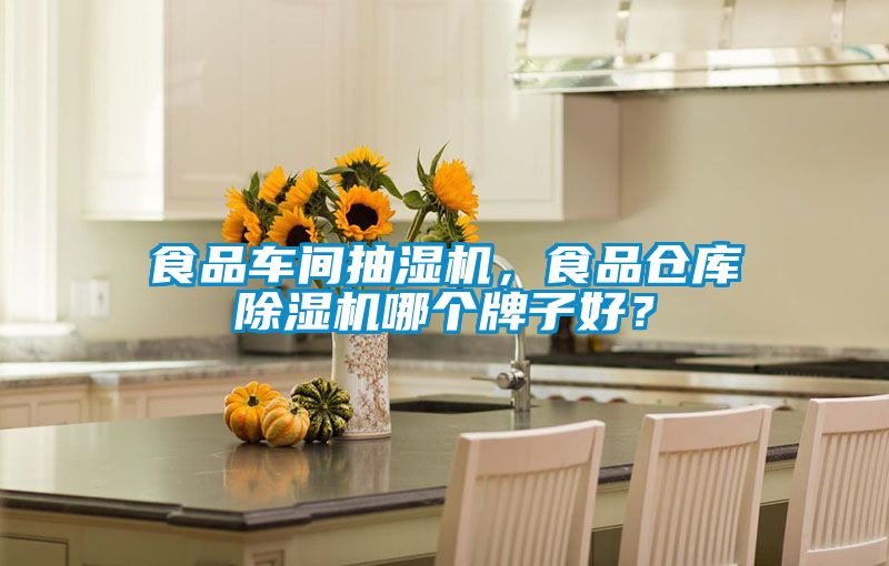 食品車間抽濕機，食品倉庫除濕機哪個牌子好？