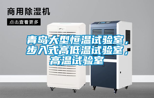 青島大型恒溫試驗(yàn)室，步入式高低溫試驗(yàn)室，高溫試驗(yàn)室