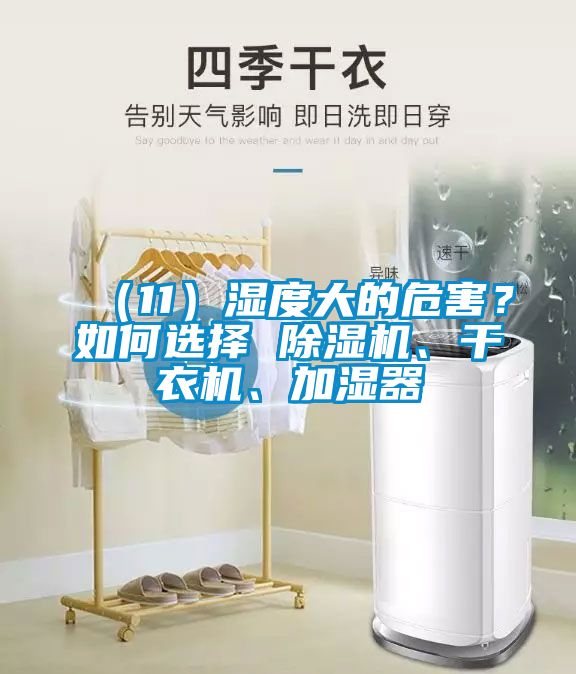 （11）濕度大的危害？如何選擇 除濕機(jī)、干衣機(jī)、加濕器
