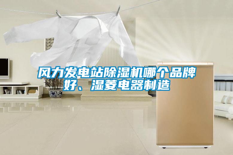 風(fēng)力發(fā)電站除濕機(jī)哪個(gè)品牌好、濕菱電器制造