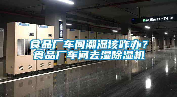 食品廠車間潮濕該咋辦？食品廠車間去濕除濕機