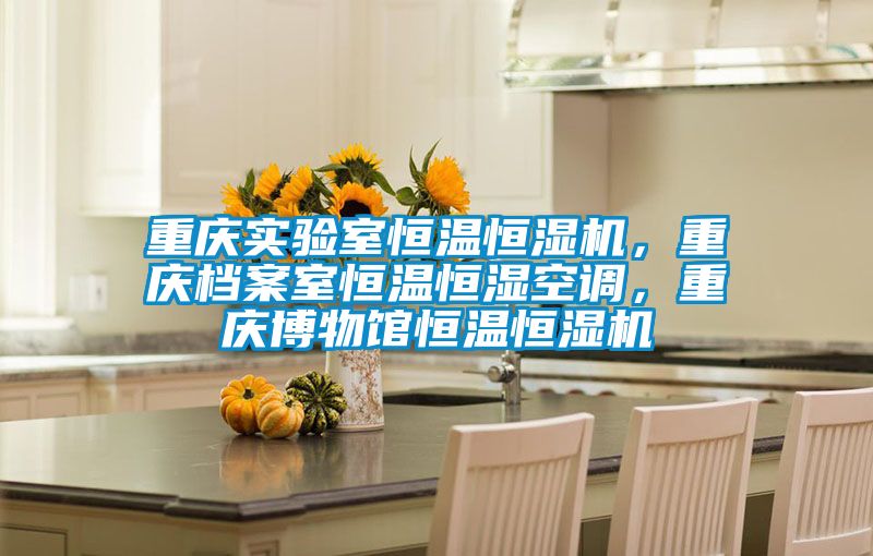 重慶實驗室恒溫恒濕機，重慶檔案室恒溫恒濕空調(diào)，重慶博物館恒溫恒濕機