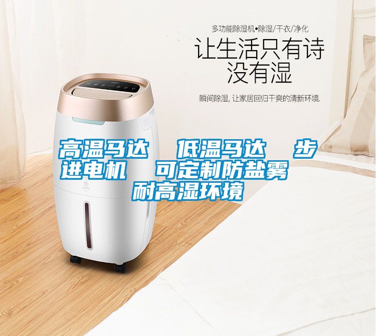 高溫馬達(dá)  低溫馬達(dá)  步進(jìn)電機  可定制防鹽霧  耐高濕環(huán)境