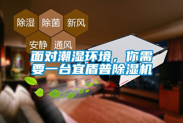 面對潮濕環(huán)境，你需要一臺宜盾普除濕機