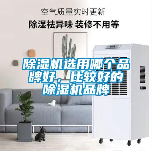 除濕機選用哪個品牌好，比較好的除濕機品牌
