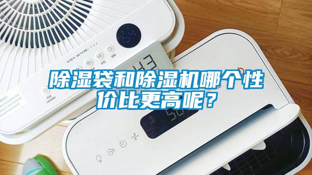除濕袋和除濕機哪個性價比更高呢？
