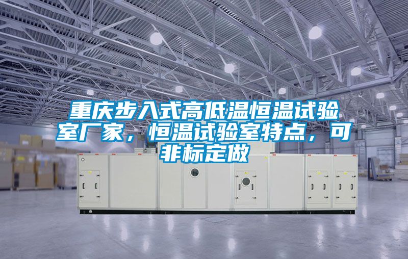 重慶步入式高低溫恒溫試驗(yàn)室廠家，恒溫試驗(yàn)室特點(diǎn)，可非標(biāo)定做