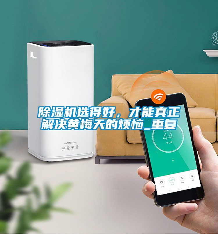 除濕機(jī)選得好，才能真正解決黃梅天的煩惱_重復(fù)