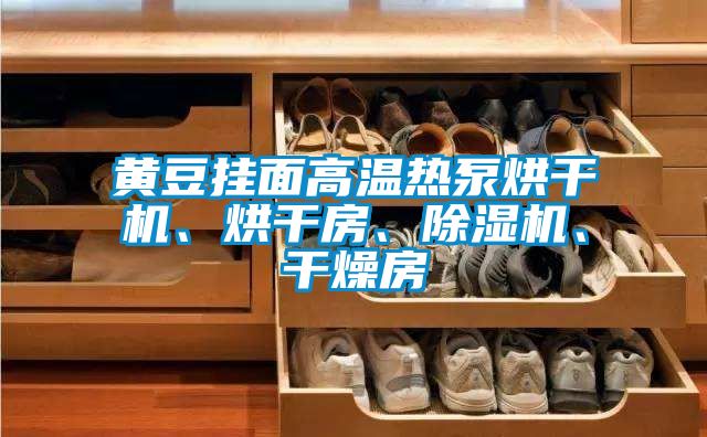 黃豆掛面高溫?zé)岜煤娓蓹C(jī)、烘干房、除濕機(jī)、干燥房