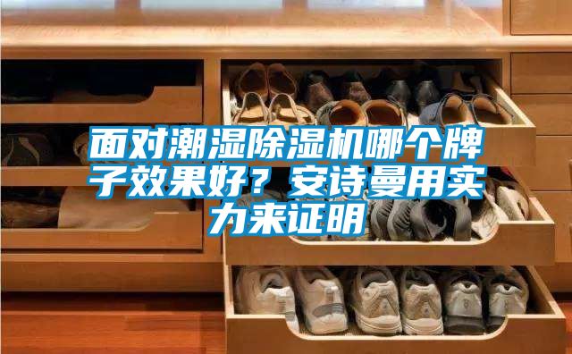 面對潮濕除濕機哪個牌子效果好？安詩曼用實力來證明