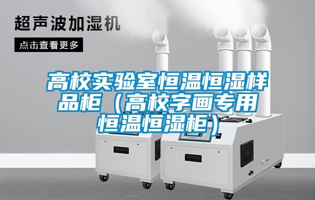 高校實(shí)驗(yàn)室恒溫恒濕樣品柜（高校字畫(huà)專用恒溫恒濕柜）