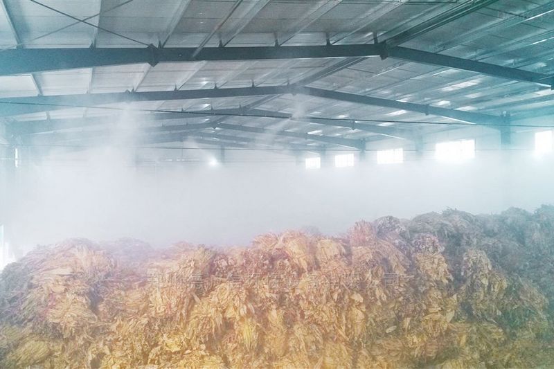 提升煙葉加工質(zhì)量，高效回潮很重要 煙葉除濕機(jī)