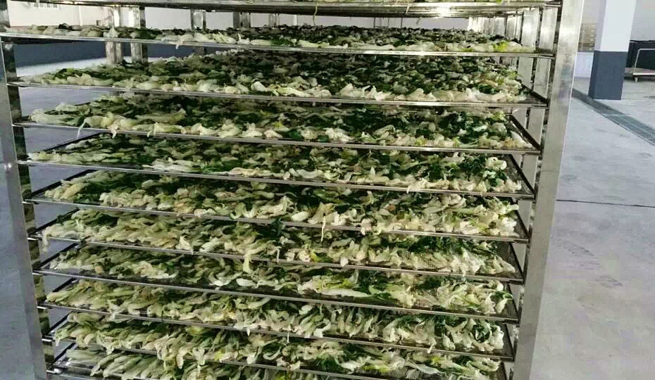 菜干需求一直都很大，蔬菜烘干機很有市場